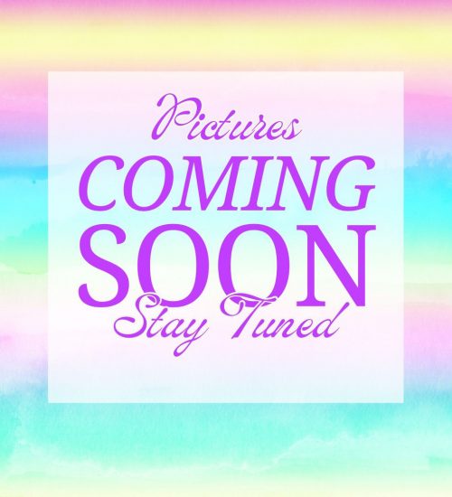 Comming Soon